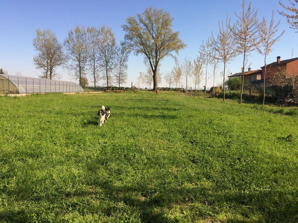 Yoghi & Bubu Apartment Gambolò Екстериор снимка